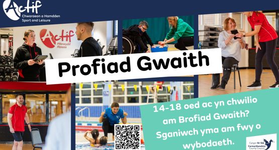 profiad gwaith